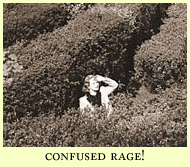 confused rage